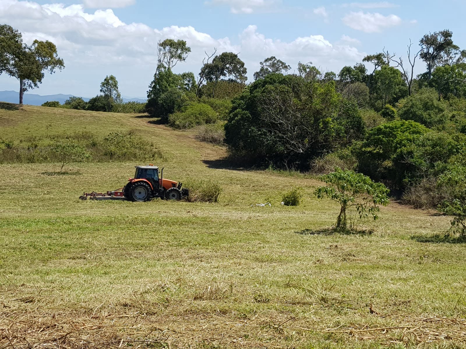 Pappy’s Beach Estate – Project Update September 2020